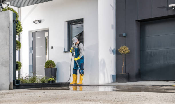 Best Roof Cleaning and Mildew Removal in Hrisburg, AR